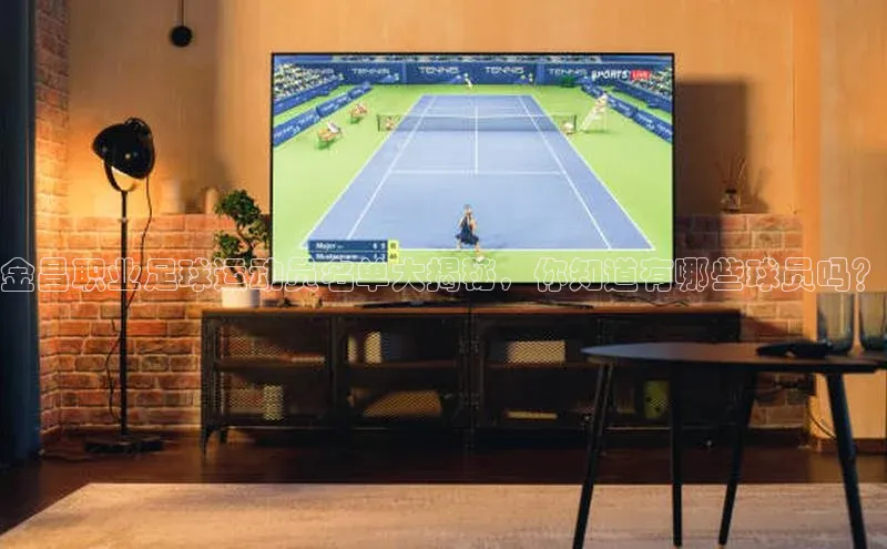 长征娱乐登录入口官方网站滴滴出行金昌职业足球运动员名单大揭秘，你知道有哪些球员吗？