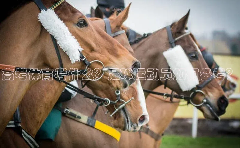 长征平台登录慧博云通高考体育考什么？足球运动员如何备考？