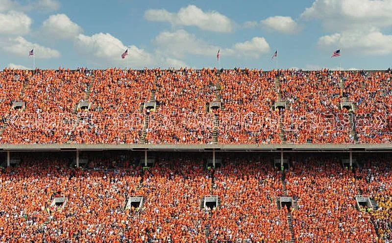 长征娱乐平台下载百度手机助手《色彩风暴：运动赛事视频调色的艺术与科学》
