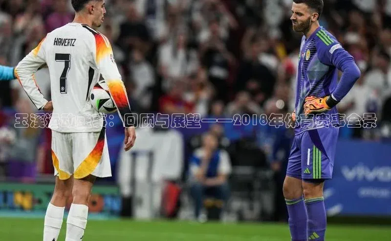 玉溪运动盛事：回顾与展望——2018年体育赛事全景