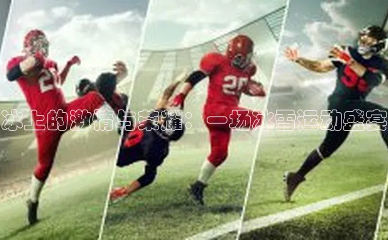 冰上的激情与荣耀：一场冰雪运动盛宴