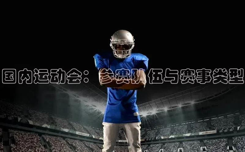 国内运动会：参赛队伍与赛事类型