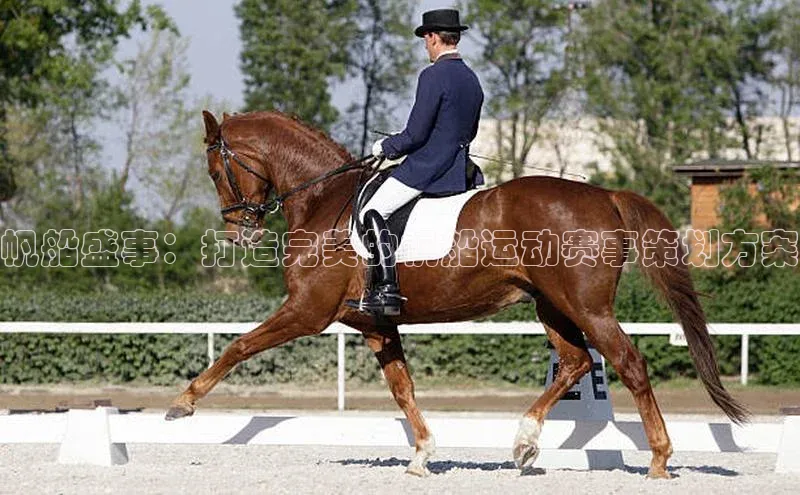 帆船盛事：打造完美的帆船运动赛事策划方案