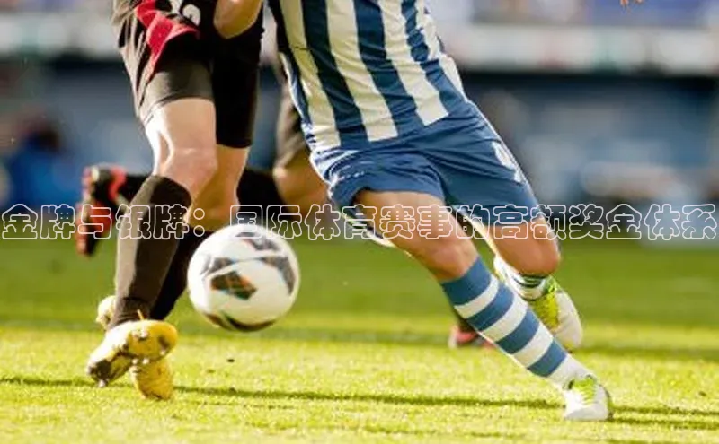 金牌与银牌：国际体育赛事的高额奖金体系