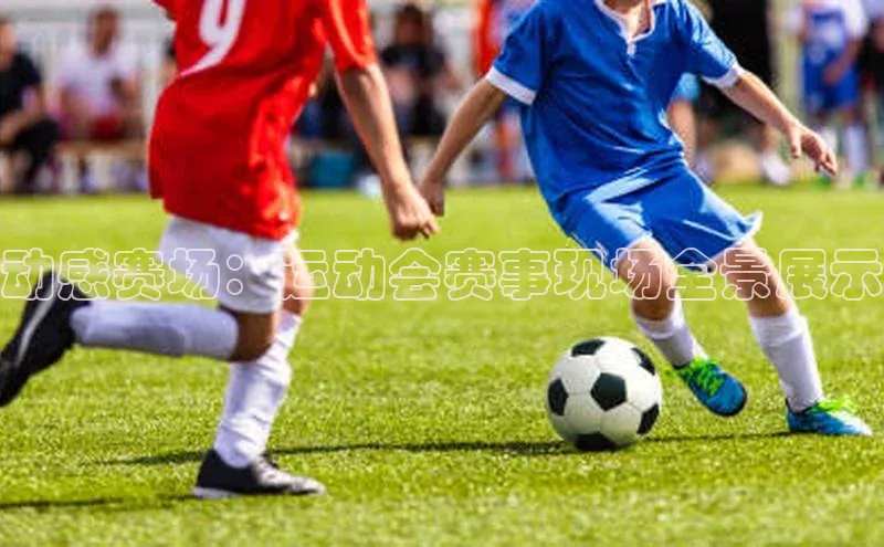 动感赛场：运动会赛事现场全景展示