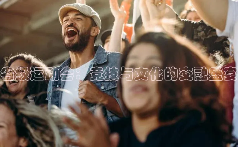 省级运动会：竞技与文化的交融盛宴