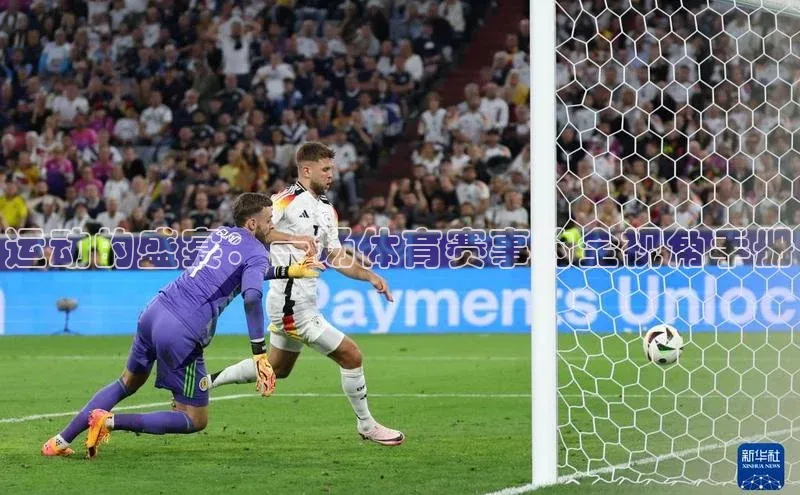 运动的盛宴：一场体育赛事的全视角手册