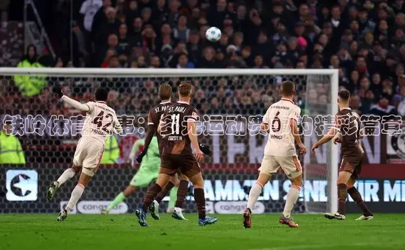 铁岭体育盛事：多元运动赛事的精彩篇章