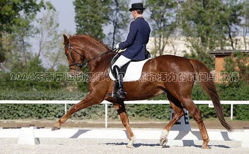 2024年南宁运动赛事：见证城市活力的瞬间与激情
