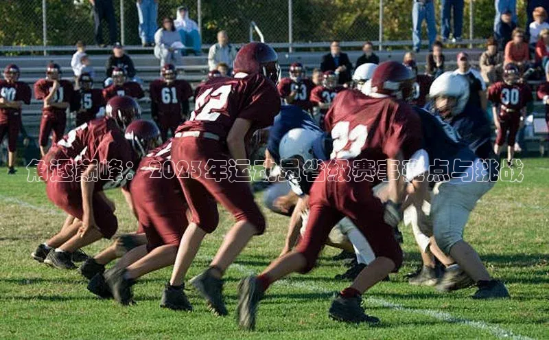 角逐巅峰：2023年运动员省级赛事亮点与挑战