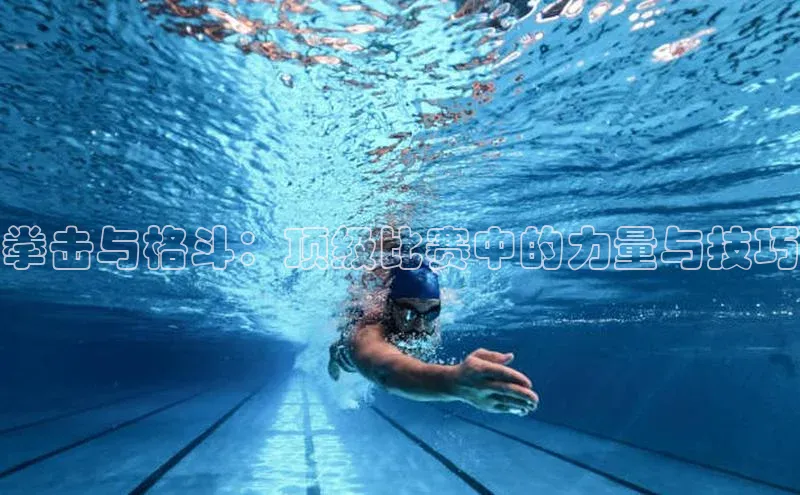 拳击与格斗：顶级比赛中的力量与技巧