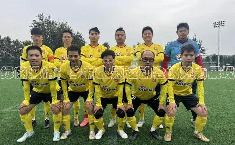 绿茵激情：乡村主题运动会的魅力展现