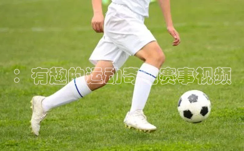 长征娱乐登录入口网页版