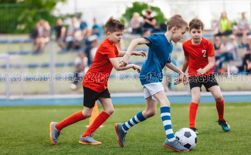 赛狗运动的竞技与文化：深入一场古老比赛的现代诠释